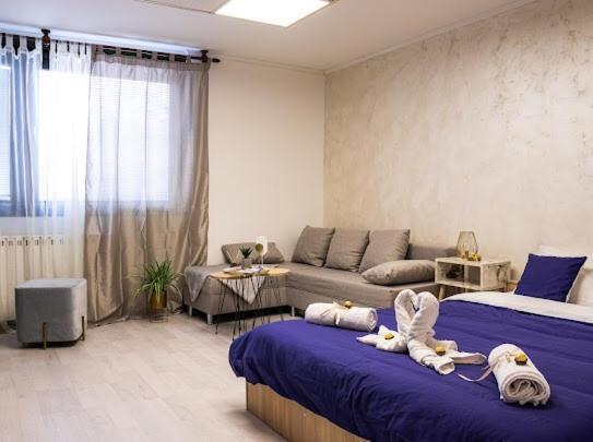 Center Cozy Apartment Subotica Bagian luar foto